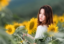 茶艺馆里，品味健康生活艺术